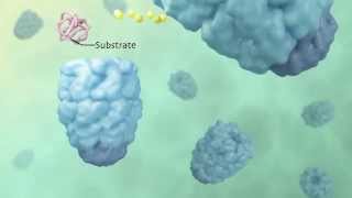 Active Cage Mechanism of ChaperoninAssisted Protein Folding Demonstrated at SingleMolecule Level [upl. by Dahsar]