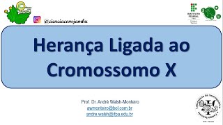 Genética EMENEM Herança Ligada ao X 08 [upl. by Randa]