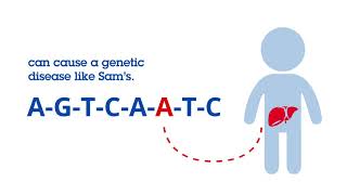 Gene Therapy Animation [upl. by Genia]