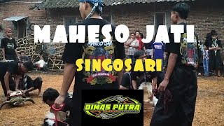 🔴MAHESO JATI KALAPAN BANTENG  KARANGJATI MBEROT TEAM NGGEJLEK DIMAS PUTRA AUDIO [upl. by Annair483]