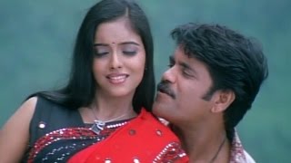 Shivamani Telugu Movie  Sun Sun Video Song  Nagarjuna Asin [upl. by Tiffani282]