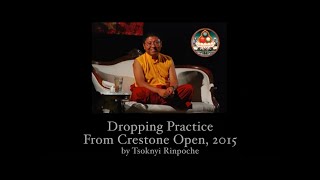 A Guided Meditation  Dropping Practice by Tsoknyi Rinpoche [upl. by Schuyler104]