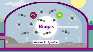 Upgrading of biogas to highpurity BioCO2 with SEPURAN® Green membranes  Evonik [upl. by Miquela157]