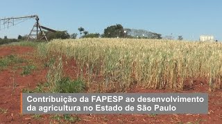 Contribuição da FAPESP ao desenvolvimento da agricultura no Estado de São Paulo [upl. by Fillander2]