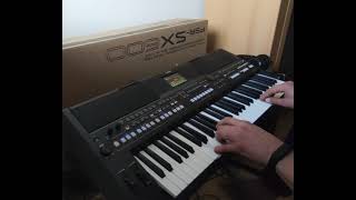 Andrzej Rybiński  Nie liczę godzin i lat  Yamaha PSR SX600  cover [upl. by Branham]