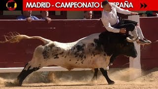 ✅ FINAL DEL CAMPEONATO DE ESPAÑA DE RECORTADORES CON TOROS 2018  MADRID 07102018 [upl. by Eckardt]