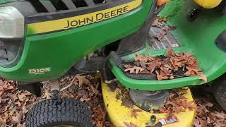 EPIC Leaf Cutting TimeLapse 🌿 [upl. by Umeko]