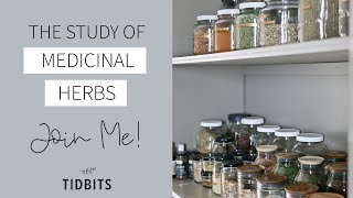 The Study of Medicinal Herbs  Lets Learn Together [upl. by Jorry856]