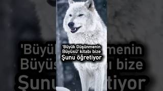 Büyük Düşünmenin Büyülü Gücü [upl. by Leasim]