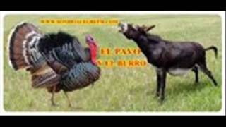 LOS HIJOS DEL REY EL BURRO Y EL PAVOwmv [upl. by Rabush]