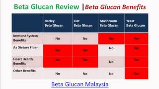 Beta Glucan Review Beta Glucan Benefits By Beta Glucan Malaysia [upl. by Donegan]