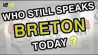 The Breton language  Clichés about Brittany by Brezhoweb [upl. by Latty]