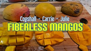 Cutting Open FIBERLESS Mangos [upl. by Engenia]