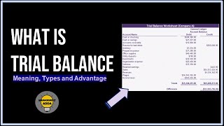 How to Prepare a Trial Balance  A StepbyStep Guide [upl. by Yl124]