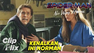 SpiderMan No Way Home 616  Kenalkan Ini Norman  Tom Holland Zendaya  ClipFlix [upl. by Gerome844]