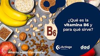 ¿Qué es la Vitamina B6 y para qué sirve [upl. by Penney24]