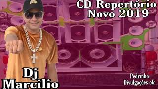 Dj MARCILIO amp Dj JUNINHO  CD TOPADO PRA PAREDÕES ABRIL 2019 [upl. by Patton596]