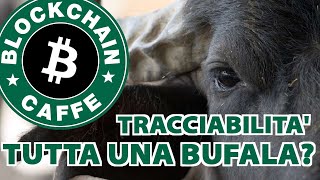 Tracciabilità una Bufala   Blockchain Caffe [upl. by Llehcal]