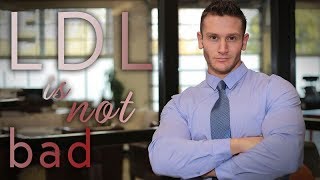 How to Lower Cholesterol LDL vs HDL Thomas DeLauer [upl. by Stonwin]