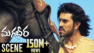 Ram Charan amp Dev Gill Ultimate Horse Race Fight  Magadheera Telugu Movie  Kajal Aggarwal [upl. by Carlick]