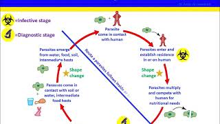 Chapter 1 Introduction to Parasitology [upl. by Lj]