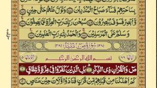 QuranPara 2330Urdu Translation [upl. by Kerril]