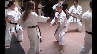 passing karate to the next generation [upl. by Araed]