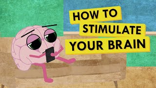 How to Give Your Brain the Stimulation It Needs [upl. by Hennessey276]