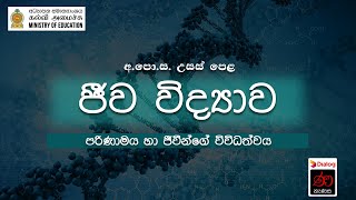 පරිණාමය හා ජීවීන්ගේ විවිධත්වය  ජීව විද්‍යාව  12 ශ්‍රේණිය  උසස් පෙළ [upl. by Ymaral815]