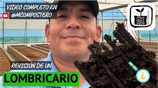 Revisión de lombricario para producción de lixiviado de lombricomposta Agroproductos las Cumbres [upl. by Guido48]