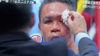 Donnie Nietes vs Kazuto Ioka 2 Full Fight Highlights  ioka vs nietes 2 fight highlights [upl. by Yot158]