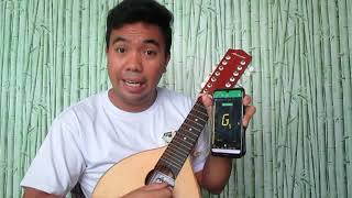 Tutorial Vlog 1 Tuning your Bandurria [upl. by Courtnay]