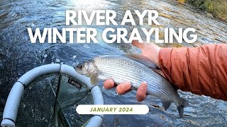 Euro nymphing for Grayling on the river Ayr 🎣 ❄ [upl. by Ardni837]