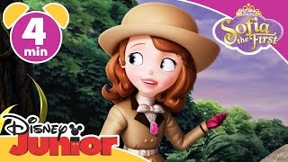 Sofia the First  Royal Vacation  Disney Junior UK [upl. by Hsur152]