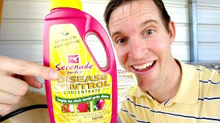 BEST Organic Fungicide for Plants Serenade Fungicide Review [upl. by Wes]