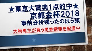 京都金杯 2018 【過去10年勝馬分析】残ったのは5頭 [upl. by Wallas542]