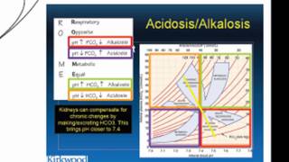 pH Acid Homeostasis Part 2 [upl. by Buehrer]