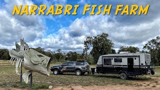 Narrabri Fish Farm New South Wales [upl. by Dione]