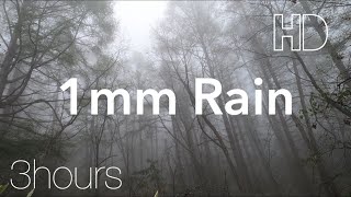 1mm Rain On Umbrella in Foggy Forest  Nature Sounds  Focus Sleep Study [upl. by Cristian]