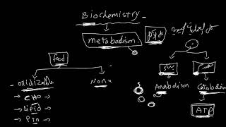 Introduction to biochemistry [upl. by Annerol]