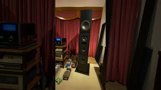 Dunlavy SCIVA speakers [upl. by Llenoj60]