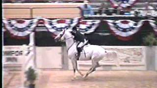 Special Memories trakehner show jumping stallionCapital Challenge Grand Prix [upl. by Atla982]