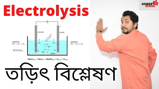 Electrolysis  SSC Chemistry  তড়িতবিশ্লেষণ  Fahad Sir [upl. by Netta978]