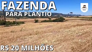 FAZENDA PLANTIO 295 HECTARES POR 20 MILHÕESCódigo1127 [upl. by Soinotna]