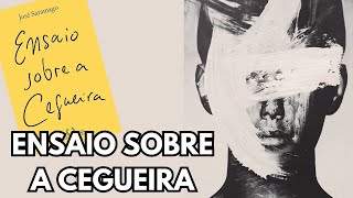 Ensaio sobre a cegueira  José Saramago  Uma Família Que Lê [upl. by Nillor135]