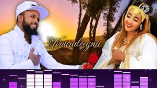 Farhaan sulee amp Ashiitaa Nuuree  Nuuraleeynii  Ethiopian Oromo Music  2022 [upl. by Ennylhsa]