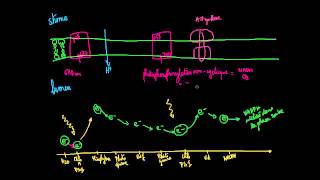 Photosynthèse  réactions dépendante de la lumière et phosphorylation [upl. by Acirret]
