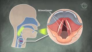 ChorVerband NRW Tutorial Stimmbildung Animation [upl. by Amsirak74]