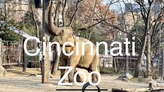 Cincinnati Zoo [upl. by Franza]