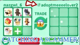 CATCHING A SCAMMER adoptmeeeelover2 [upl. by Giarg738]